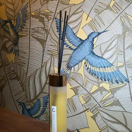 Le Splend'id A 10min De Disneyland * Chessy (Seine-et-Marne)