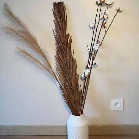 Le Splend'id A 10min De Disneyland Apartament